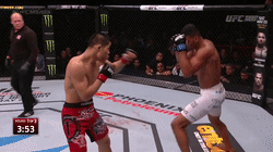 UFC:吸血魔 李景亮 VS 迪戈-里马